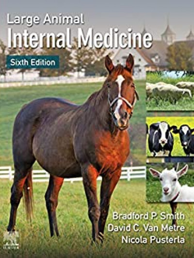 Libro: Large Animal Internal Medicine 6th Edition